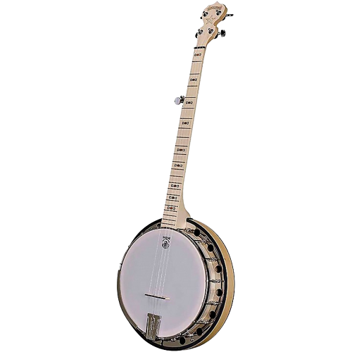 Deering The Goodtime 2 Banjo