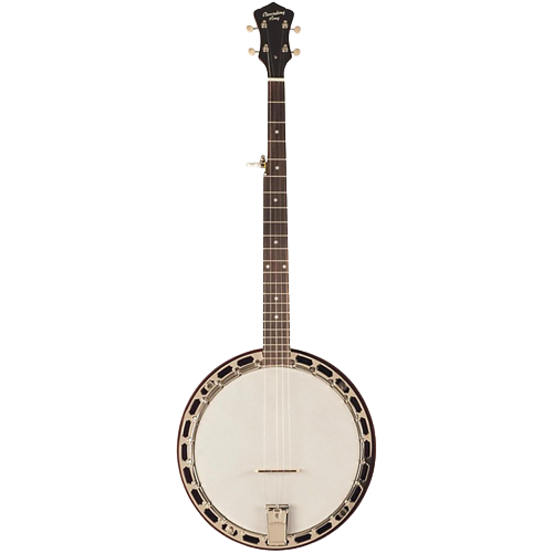 Recording King RKH-05 Dirty 30s Resonator Banjo