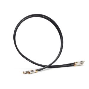 SHUNYATA - Gamma Interconnects (Pair)